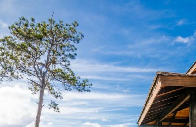 Jarabacoa Villas Ecolodge