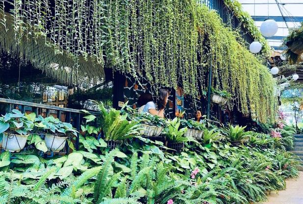 Jaraihomestay