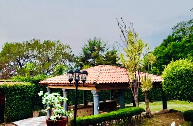 Residencia Californiana Jardín de los Soles