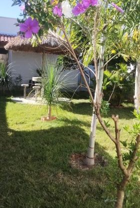 Jardim Secreto