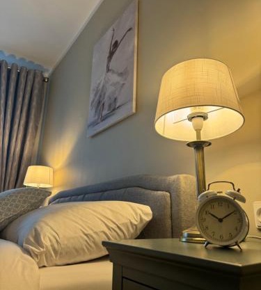Jaukus apartamentas Birzu centre