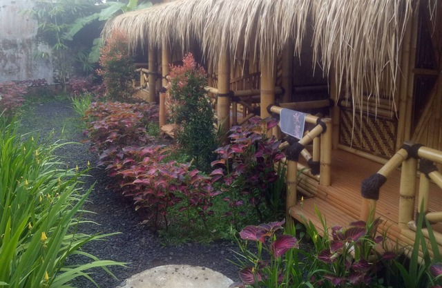 Javana Homestay