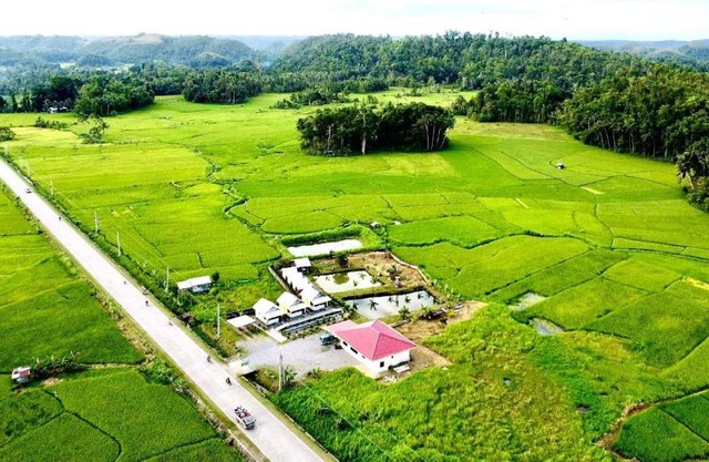 Jazz Ferme Inn Batuan Bohol