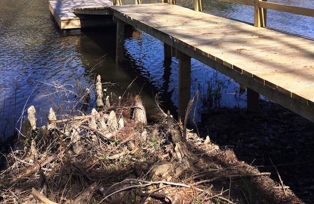 Jeff's Cottage * 3 habitaciones * 2 baños * Toledo Bend * Louisiana Side * 1215 area