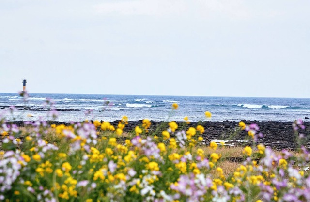 Jeju Early Black Lounge