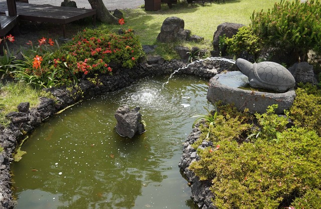 Jeju Feel House