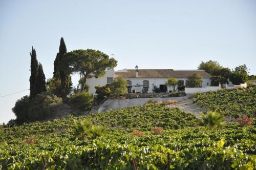 Jerez Viña Santa Petronila