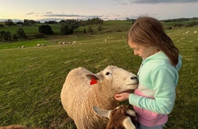 Jilly Park Farm Experience - Discover Rustic Charm and Tranquil Farm Life in West Gippsland Inc Breakfast