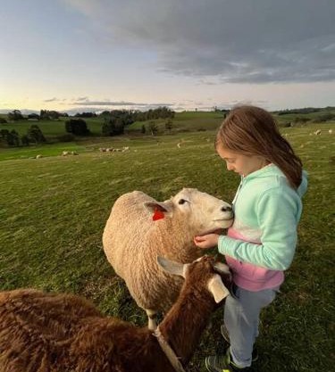 Jilly Park Farmstay Experience Discover Authentic Farm Life Complimentary Breakfast Included