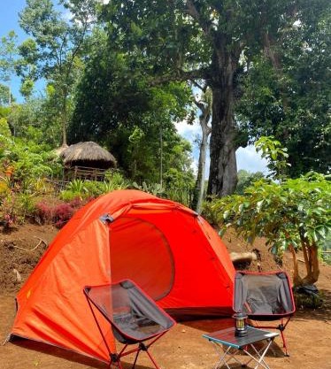Joe Nature Camp