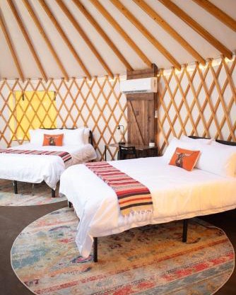 Johnny Yurts - The Lone Star