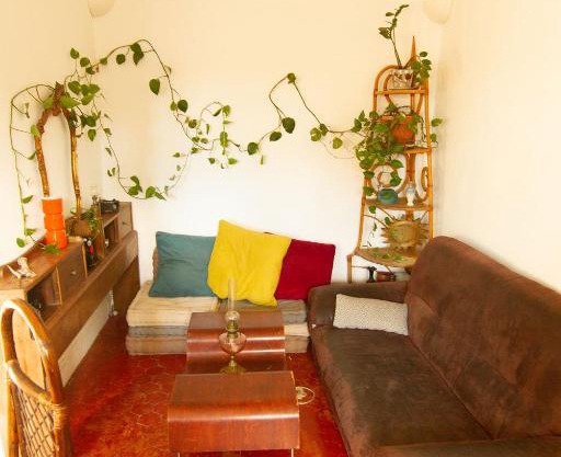 Jolie chambre dans appartement cosy en plein centre