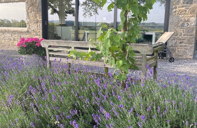 Jolie maison de vacances, cadre exceptionnel ** Exceptionnal location
