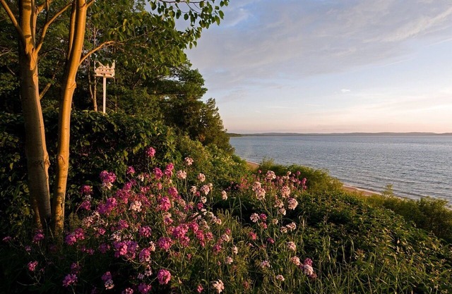 JOLLI-LODGE~Beach Resort in Leland