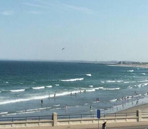 Jonathan's Ocean Front Studio Suites Hampton Beach!