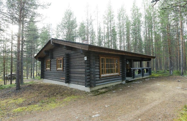 Joutsen Holiday Home