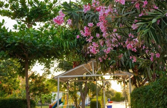 Joy Villa & Resort