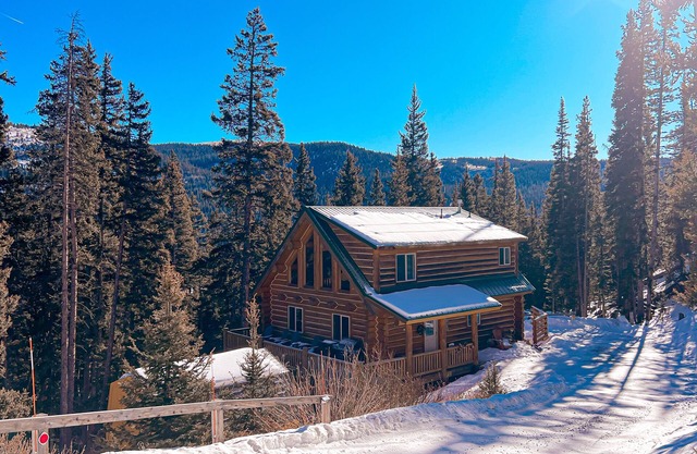 July Special! Cabin with hot tub! Near FairPlay & Breck!