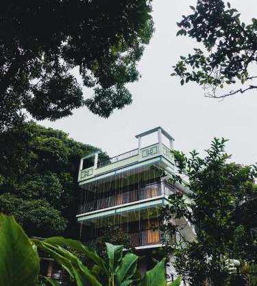 Jungle Berg