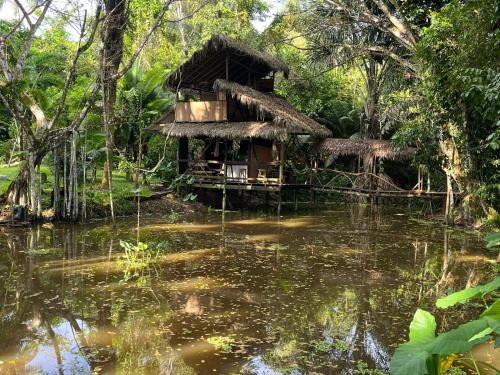 Jungle Cabin - Satorilodge