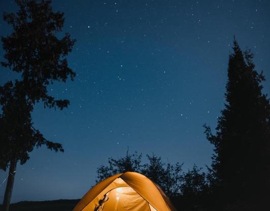 Jungle Campingg