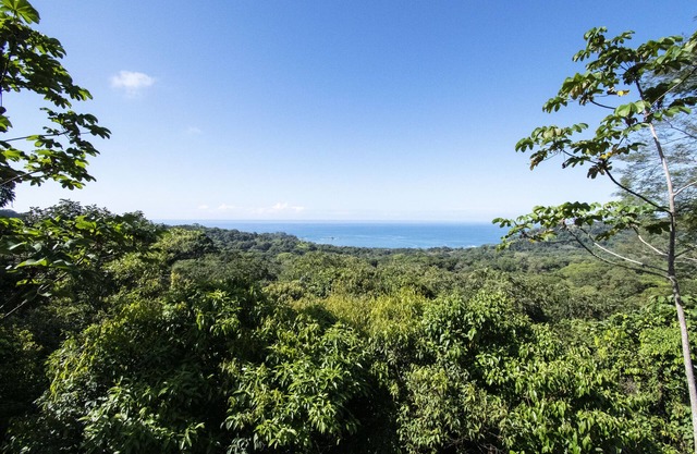 Jungle Escape with STUNNING views over Dominicalito Bay