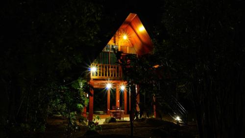Jungle Crown Cabin