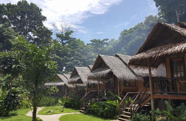 Jungle Garden