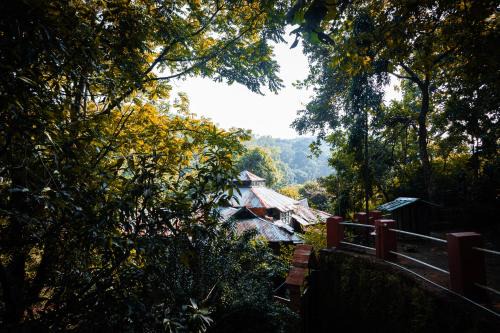 Jungle Ghar
