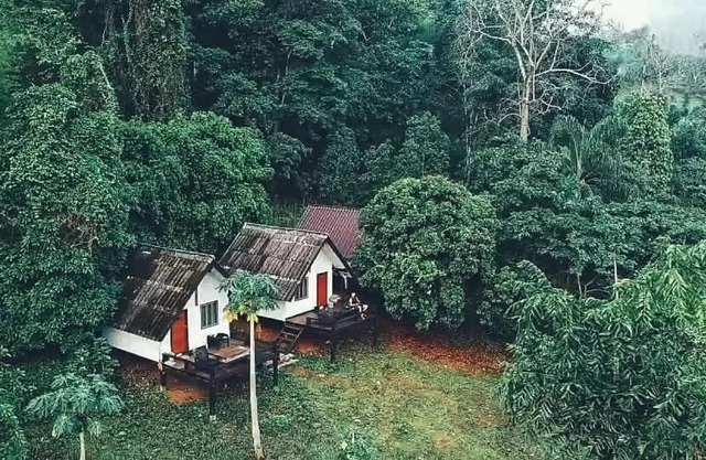 Jungle guest house