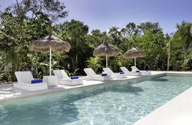 Jungle Lodge Boutique Hotel Adults Only
