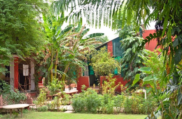 Jungle Lodge