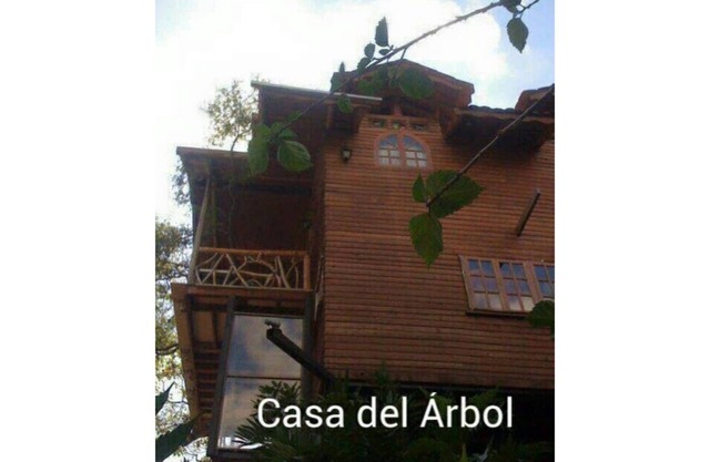 Jungle Tree House 20 min aeropuerto SJ