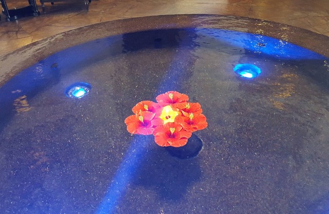 Junior Suite partial pool view