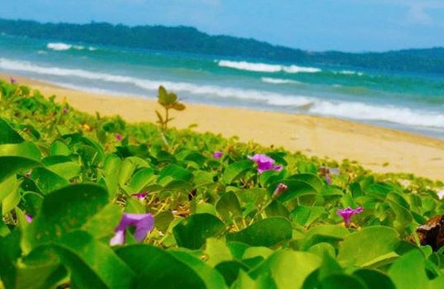 Jurisu Resort