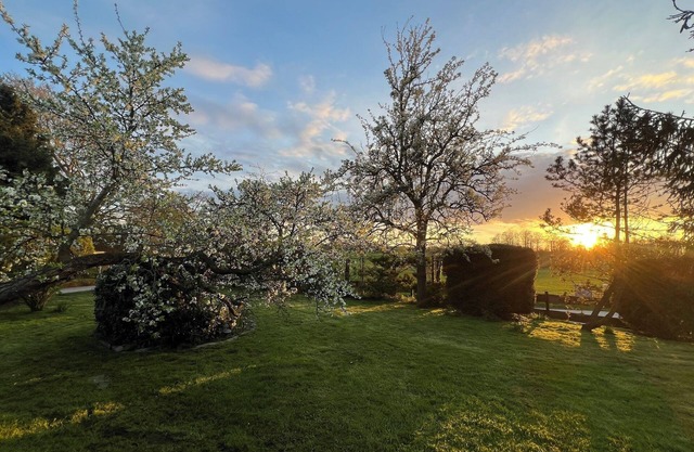 Küstenzauber - Detached, large plot, terrace, bathtub, shower