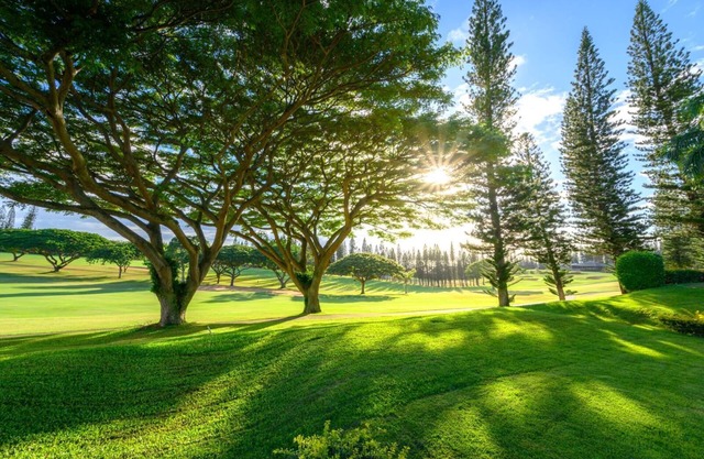 K B M Resorts: Kapalua Golf Villa Kgv-14p6, Extra Large 2 Bedrooms Remodeled-golf Course Views, L'occitane, Chef's Kitchen, Includes Rental Car!