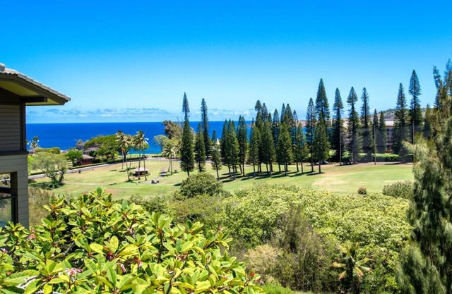 K B M Resorts: Kapalua Ridge Villas Krv-724, Ocean View 1 Bedroom All New Furniture + Air Conditioning. L'occitane Amenities, Includes Rental Car!
