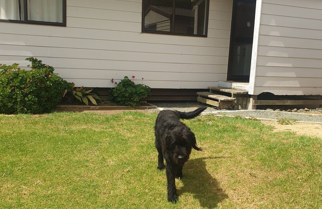 Pouto Farm Cottage...near Dargaville on a beautiful working Beef and Sheepfarm..