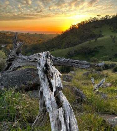 Kaiser Ridge - eco stay