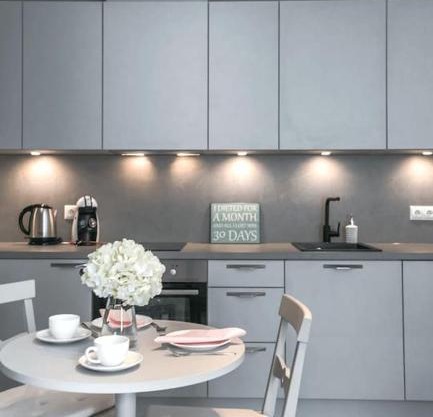 Kalamehe Modern Apartment 2 near City center