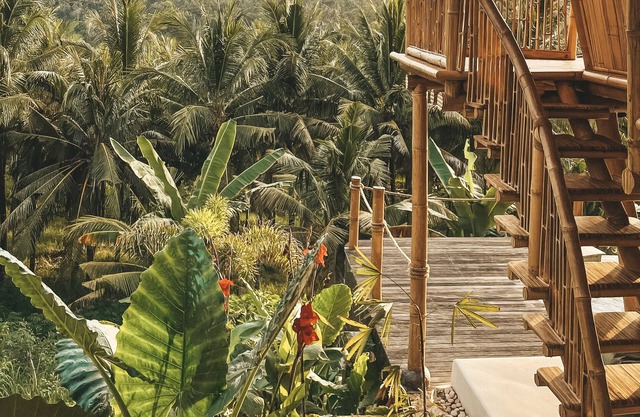 Albergue ecológico de bambú Kalma