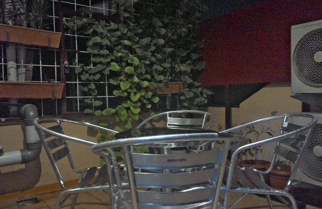 Kanto's Guest House