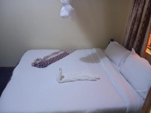 KAPOK CITY Self Contained Rooms