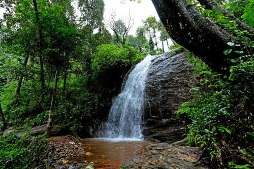 Karadikallu Homestay with Private Waterfalls