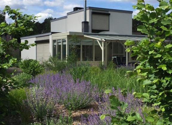Kattevennenbos