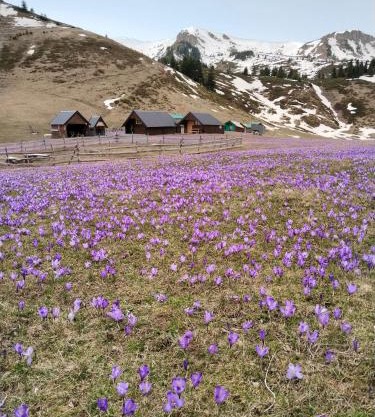 Katun Siska Medna Dolina