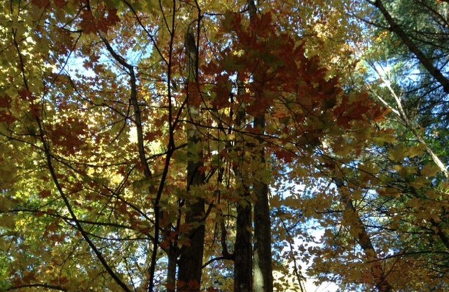 Kawarthas, cabaña de Stillwater