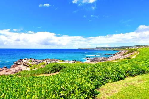 KBM Resorts FREE CAR Kapalua Bay Villa Oceanfront 1-Bedroom Condo with Amazing views KBV-30G2