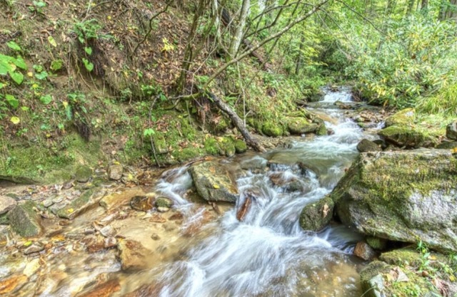 Keaton Creekside Cottage - Cozy, Charming, Incredible Location In Maggie Valley